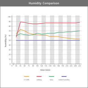 C-CORE's Humidity Comparison graf