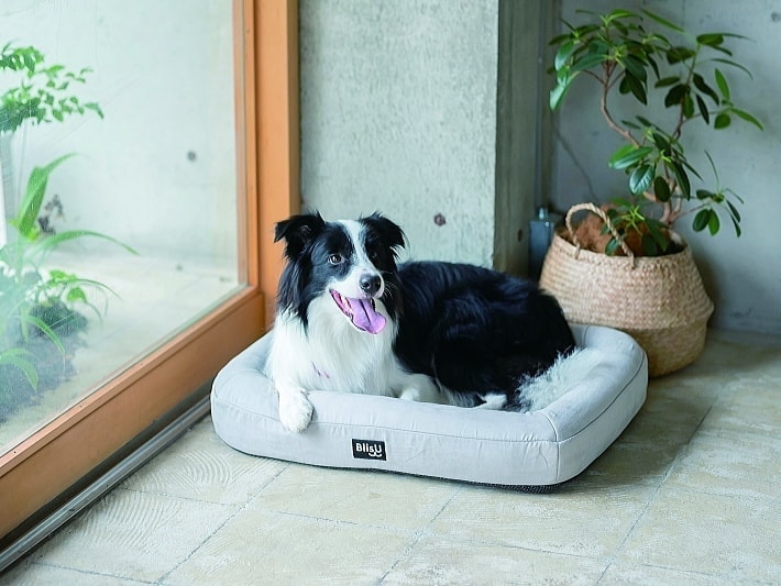 Pet Bed